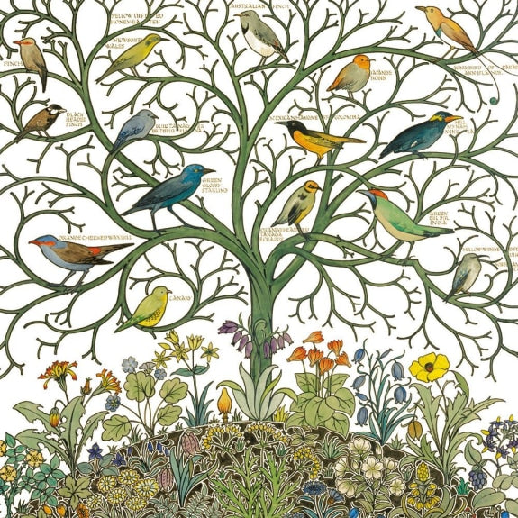 V&A Voysey Birds 8 Square Notecards Wallet - Bee's Emporium