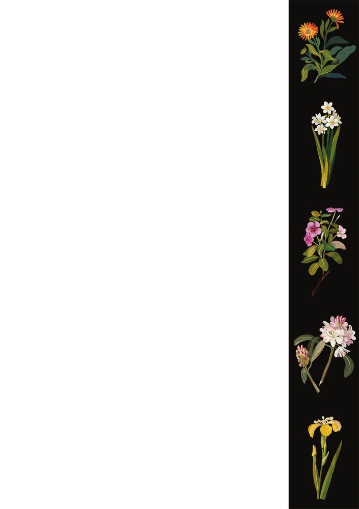 Delany Flowers Writing Set