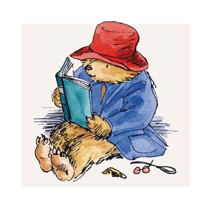 Paddington Bear 8 Square Notecards Wallet - Bee's Emporium
