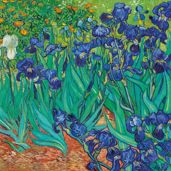 Vincent Van Gogh Square Set of 8 Art Notecards Wallet - Bee's Emporium