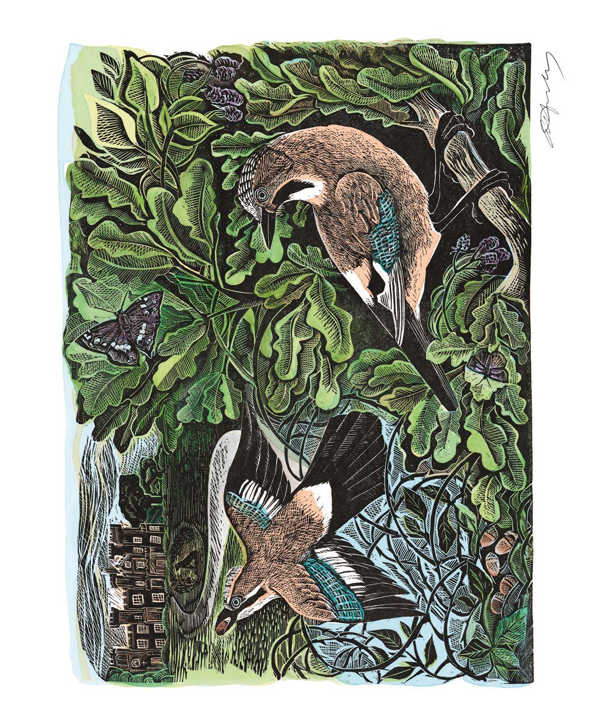 Angela Harding Knepp Jay Blank Greeting Card with Envelope - Bee's Emporium