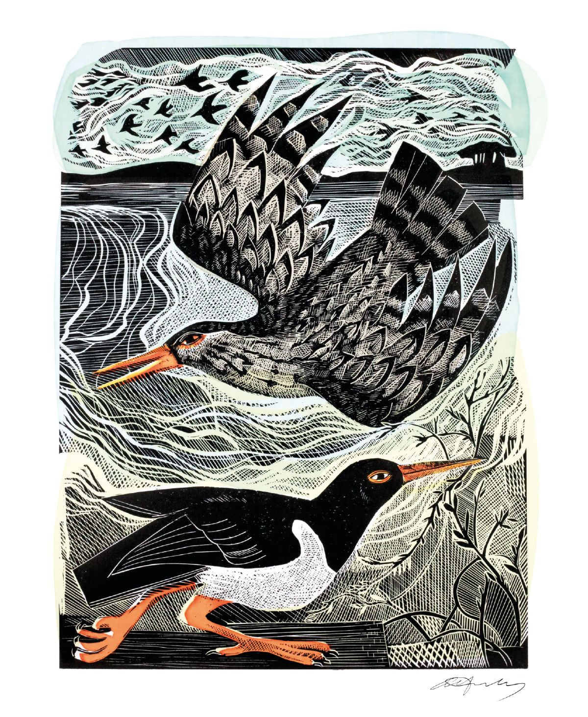 Angela Harding Redshank & Oystercatcher Blank Greeting Card with Envelope - Bee's Emporium