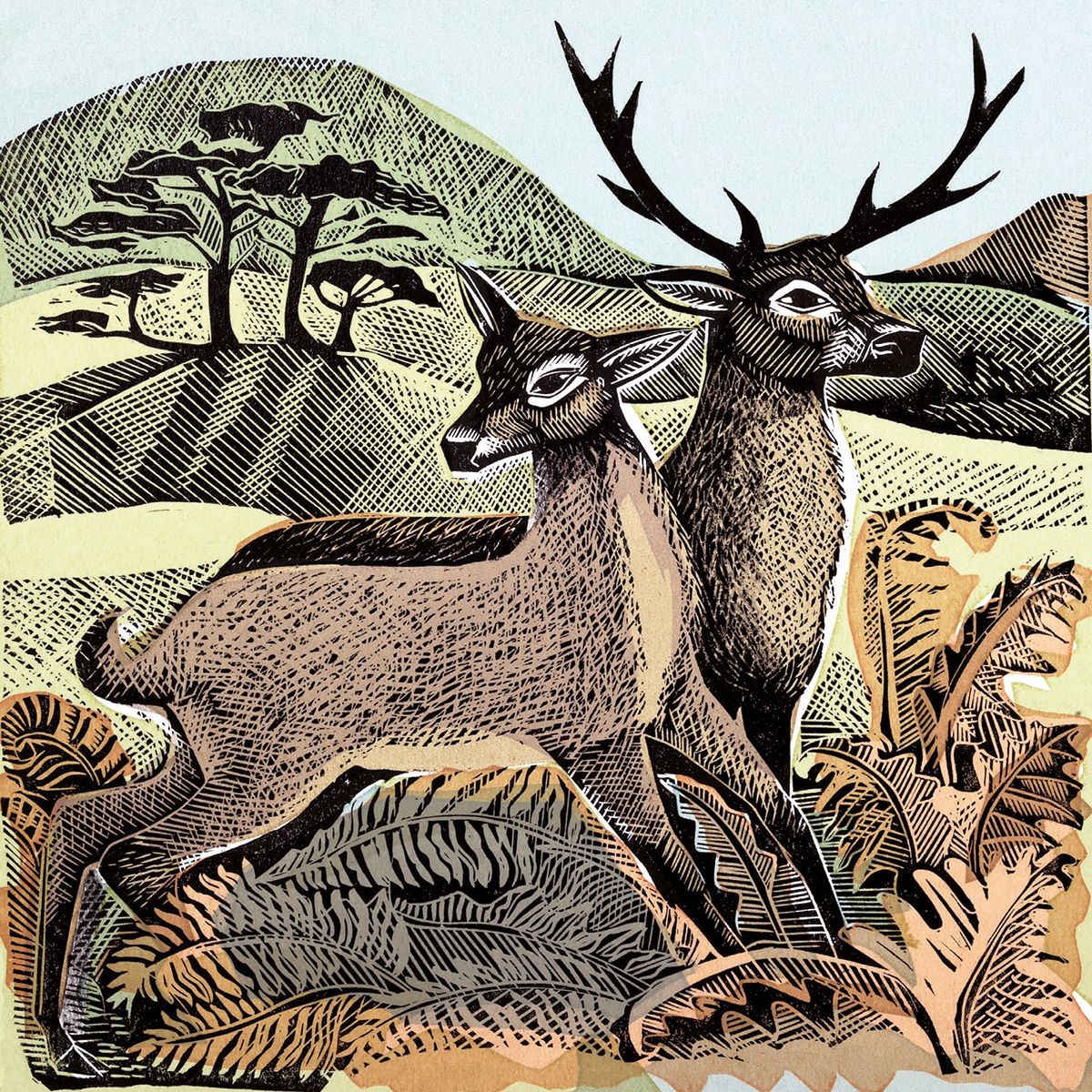 Angela Harding Deer and Autumn Bracken Blank Greeting Card with Envelope - Bee's Emporium
