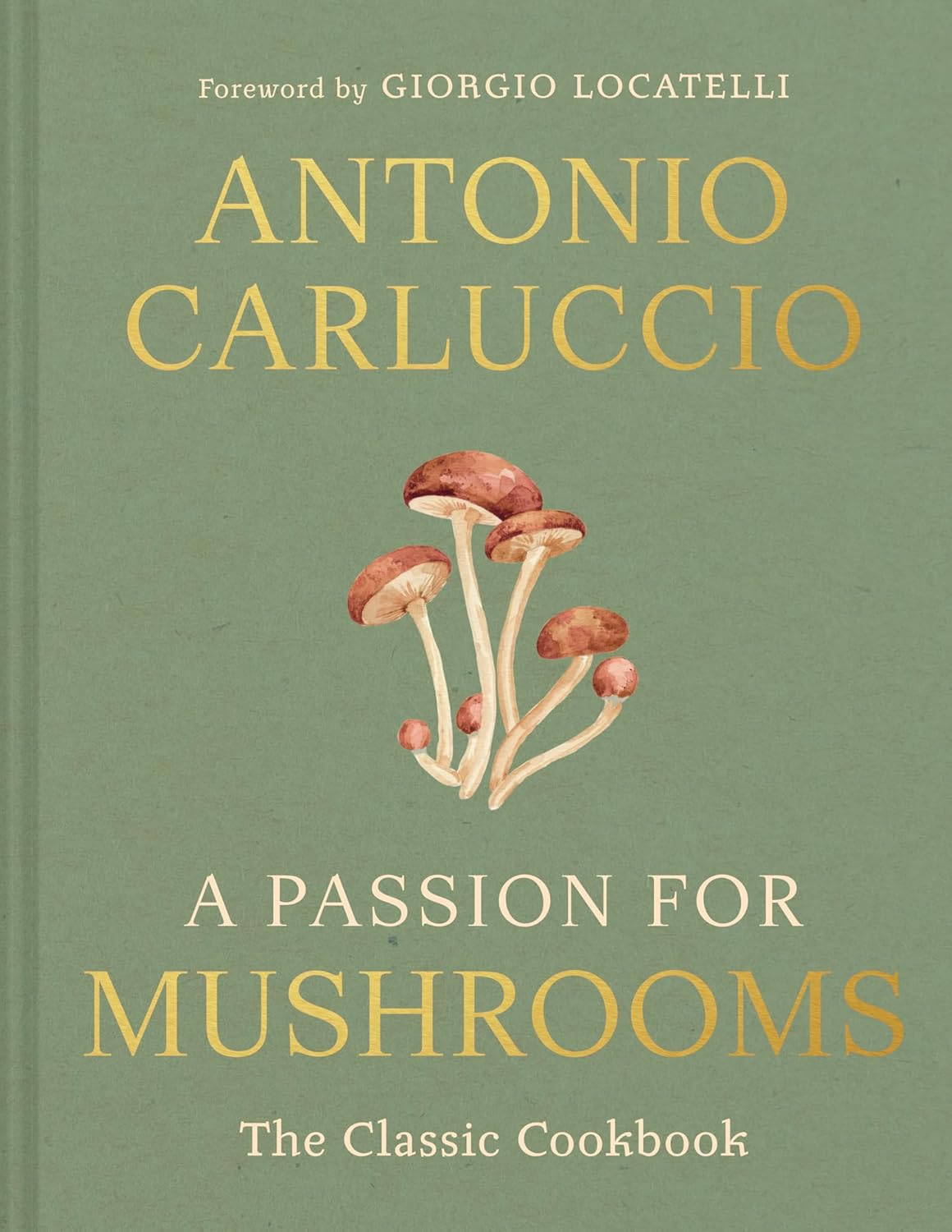 A Passion for Mushrooms: The Classic Cookbook by Antonio Carluccio (Hardcover)