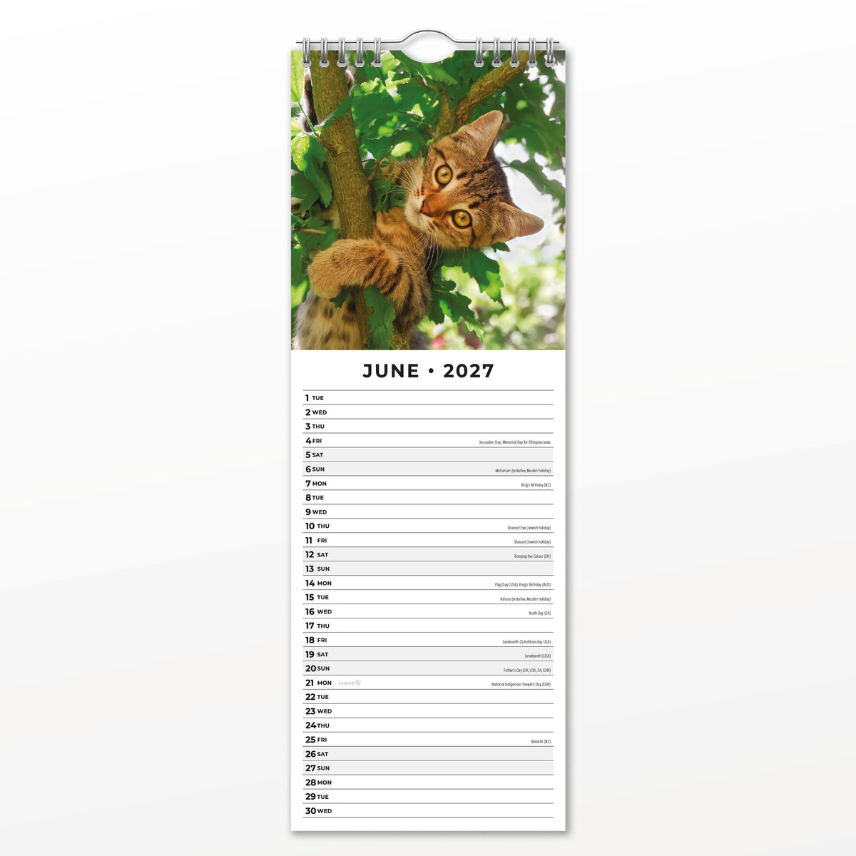 Adorable Cats 2027 Slim Wall Calendar