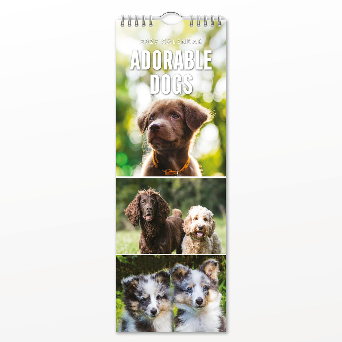Adorable Dogs 2027 Slim Wall Calendar