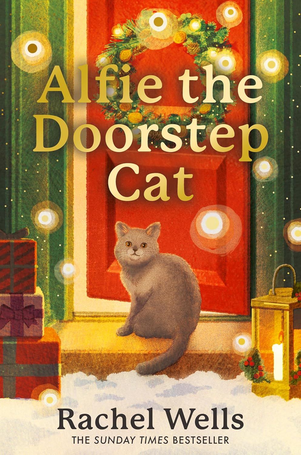 Alfie the Doorstep Cat by Rachel Wells (Paperback)