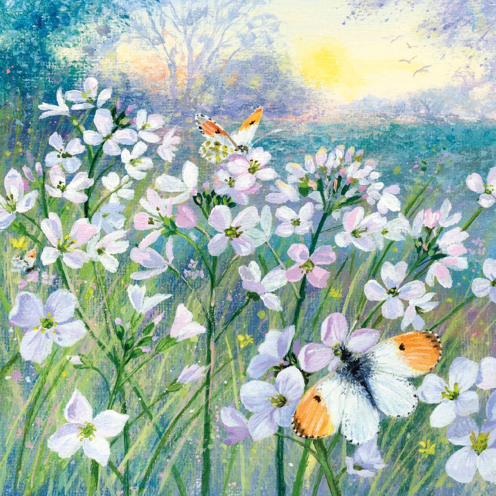 Coast and Country - Orange Tips Blank Greeting Card with Envelope - Bee's Emporium