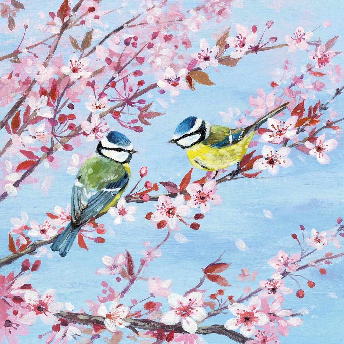 Coast and Country - Blossom and Blue Tits Blank Greeting Card with Envelope - Bee's Emporium