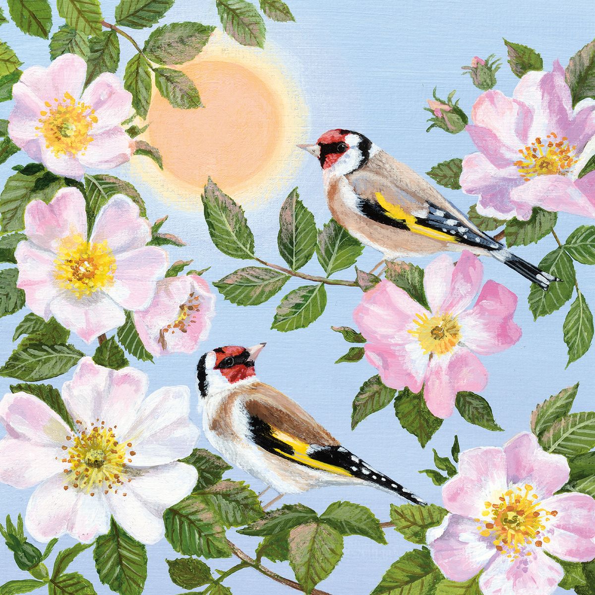 Coast and Country - Wild Roses and Goldfinches Blank Greeting Card with Envelope - Bee's Emporium