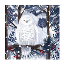 Snowy Owl by Catherine Worsley Pack of 8 Christmas Cards