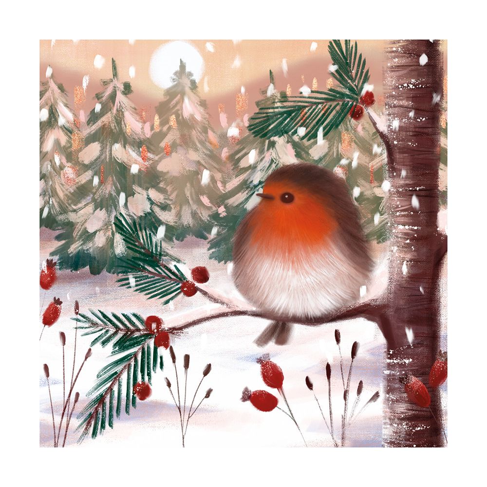 Fluffy Robin by Catherine Worsley Pack of 8 Christmas Cards