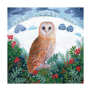 Winter Owl by Bex Parkin Pack of 8 Christmas Cards