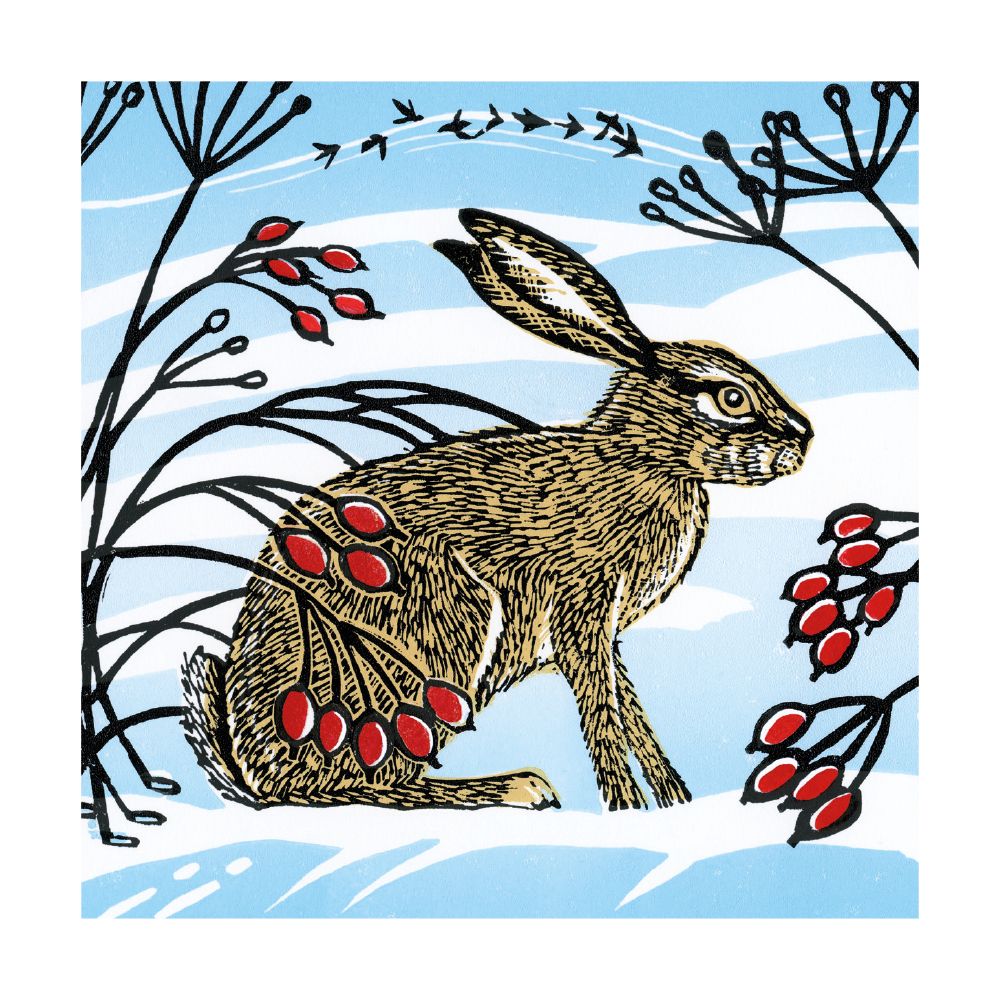 Snow Hare by Denise Coble Pack of 8 Christmas Cards - Bee's Emporium