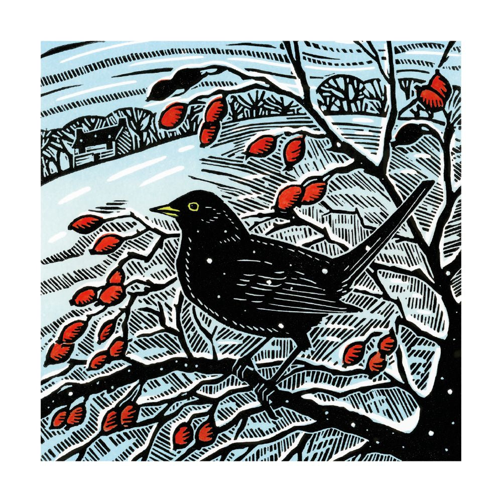 Blackbird & Berries by Denise Coble Pack of 8 Christmas Cards