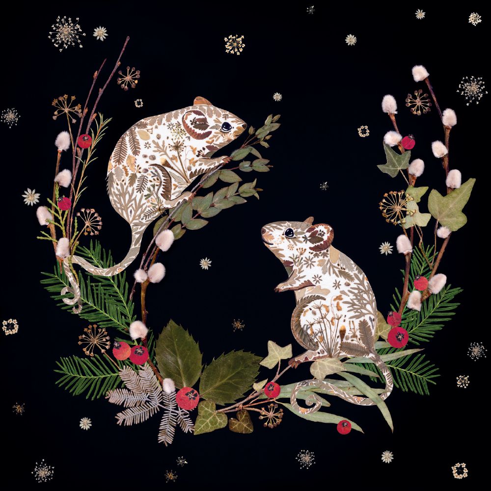 Winter Wild Press - Winter Mice by Helen Ahpornsiri Pack of 8 Christmas Cards - Bee's Emporium