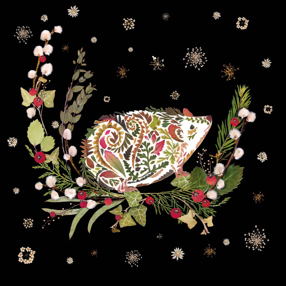 Winter Wild Press - Winter Hedgehog by Helen Ahpornsiri Pack of 8 Christmas Cards - Bee's Emporium