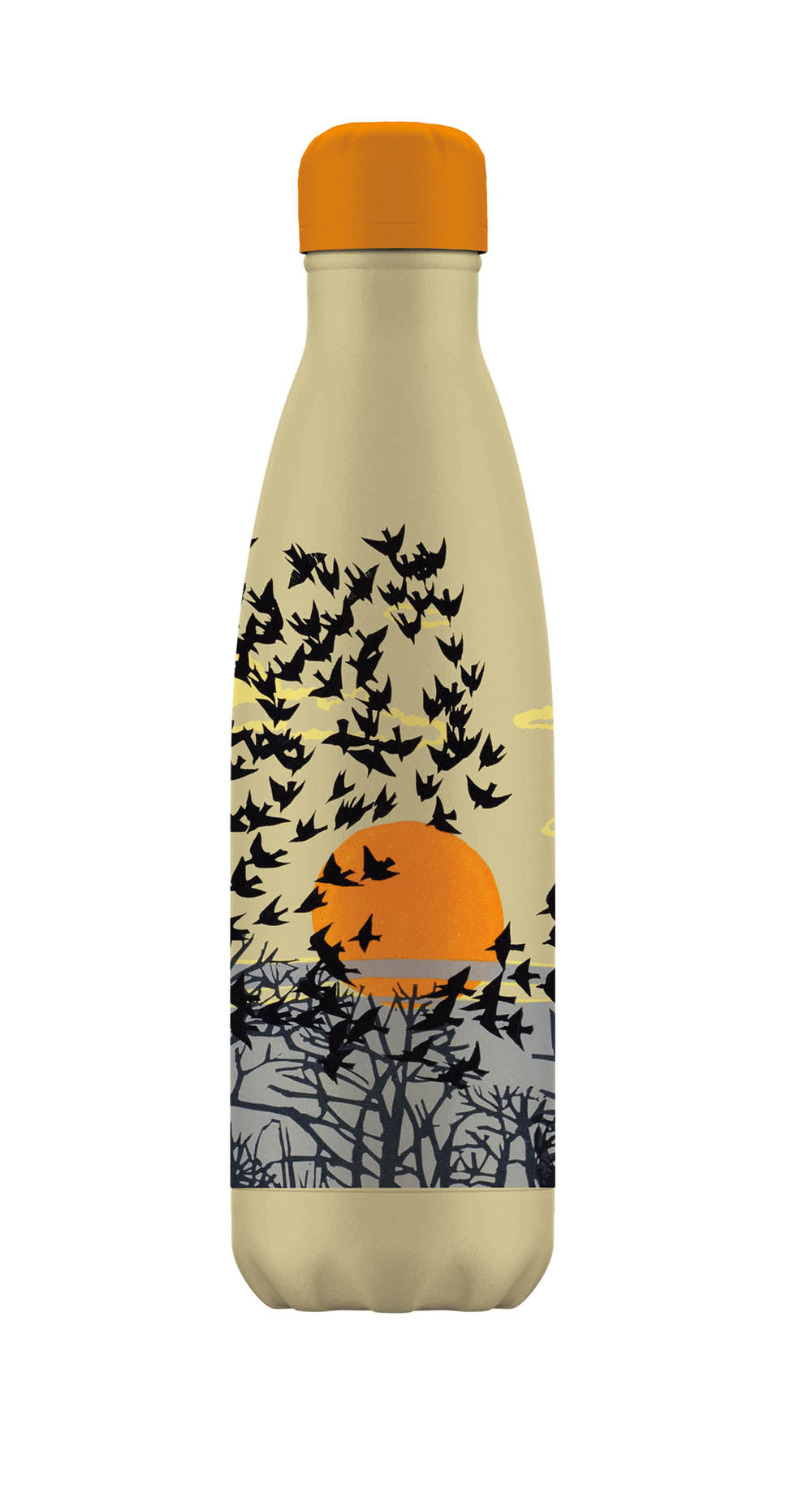 Aerial Manoeuvres 500ml Insulated Drinks Bottle - Bee's Emporium