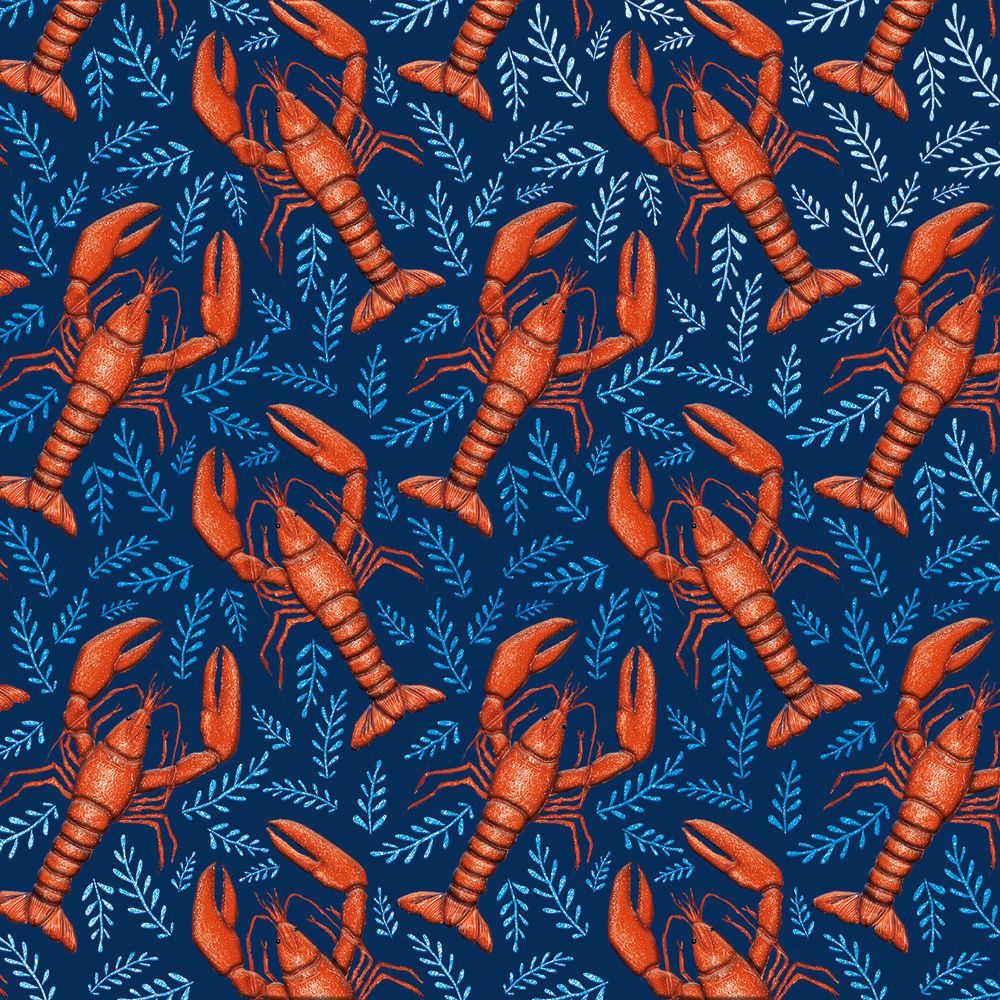 Catherine Rowe Lobster Pattern 6 Luxury Square Notecards Wallet - Bee's Emporium