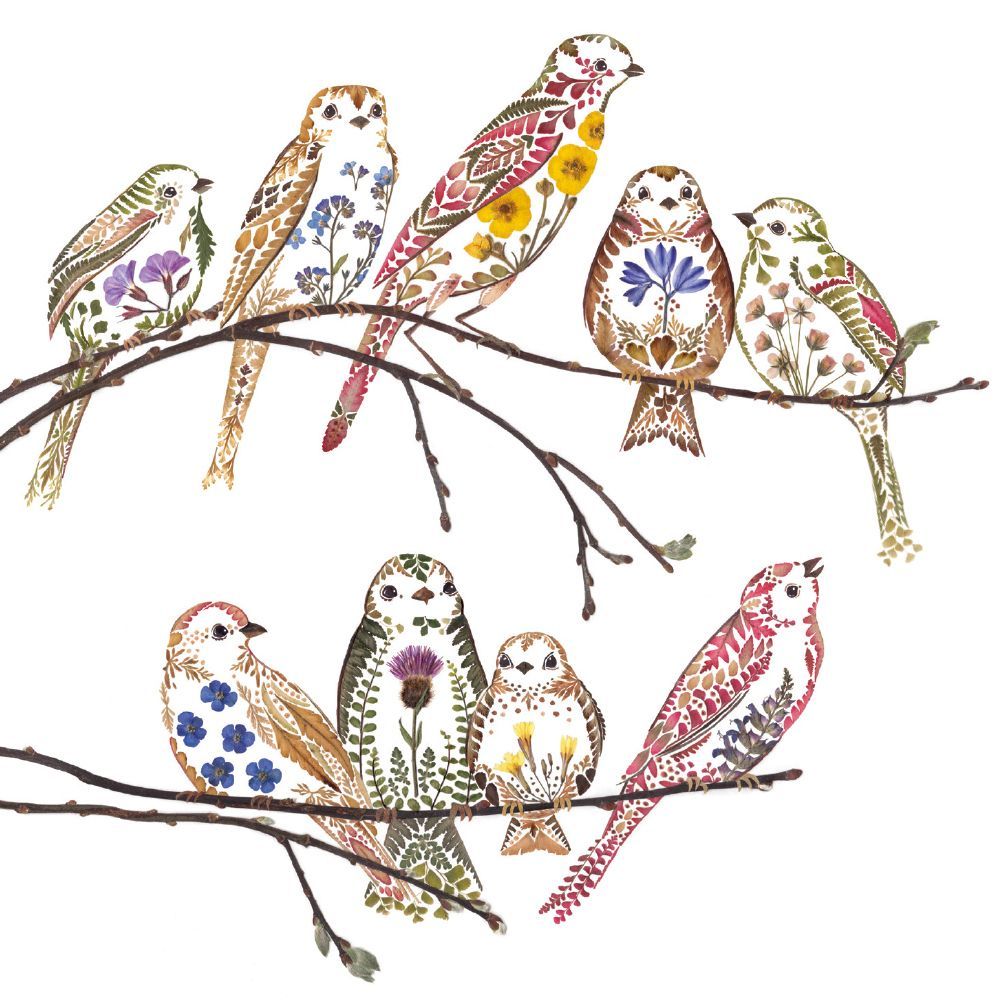 Wild Press by Helen Ahpornsiri Birds 8 Square Notecards Wallet - Bee's Emporium