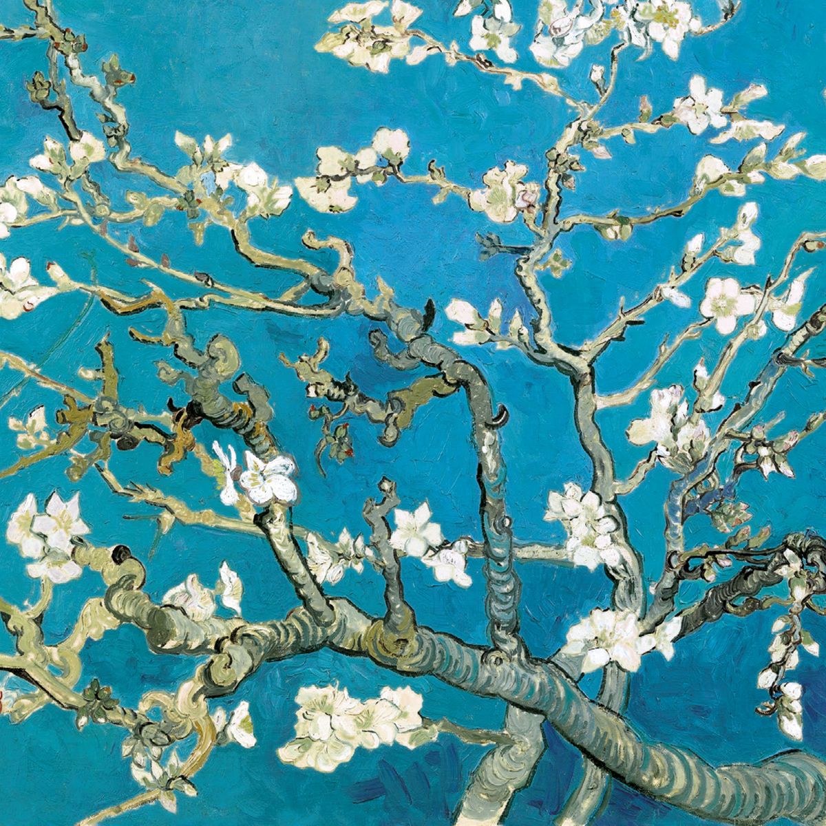 Vincent Van Gogh Almond Branches in Bloom 8 Mini Notecards Wallet
