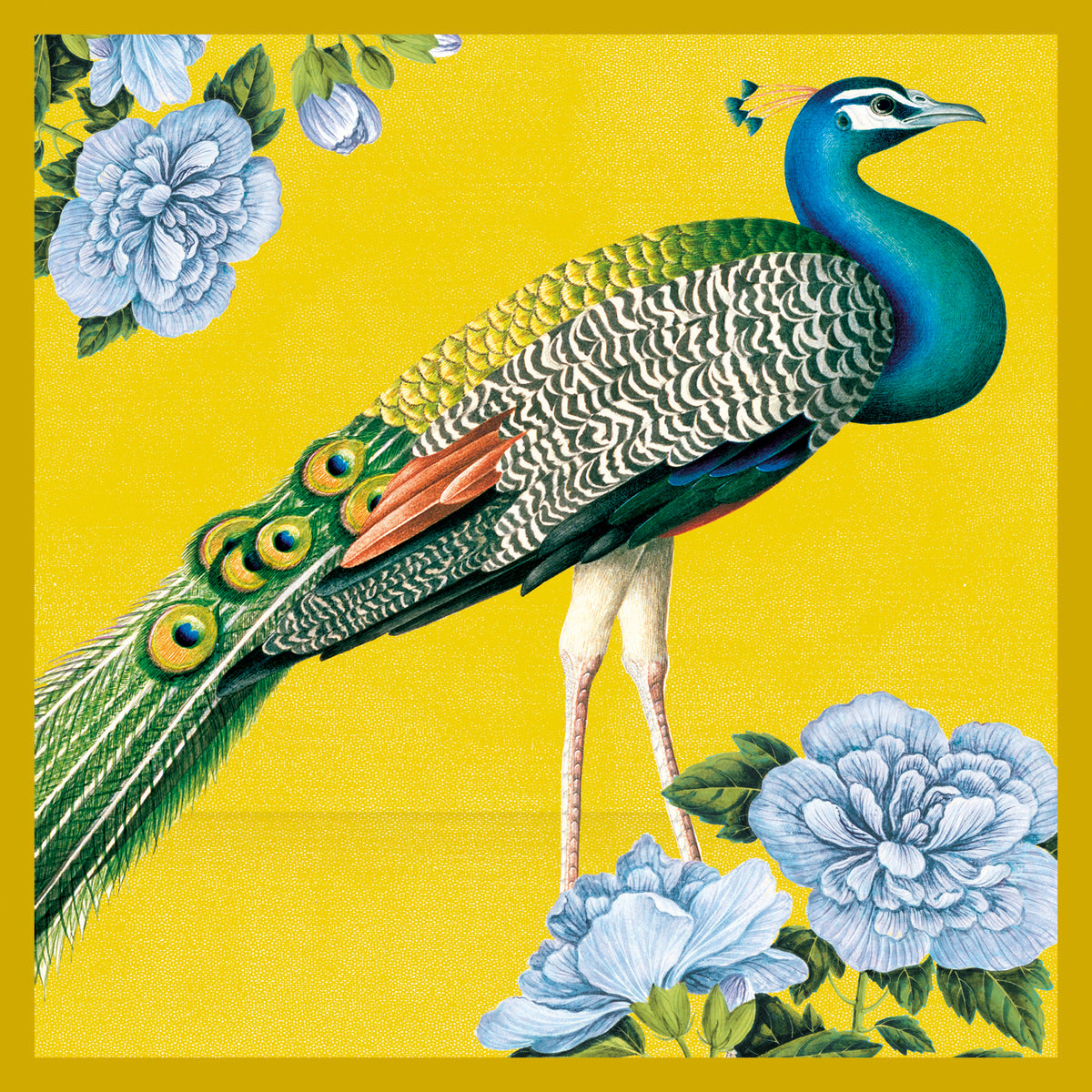 Natural History Museum Exotic Animals Box of 20 Notecards with Envelopes - Bee's Emporium