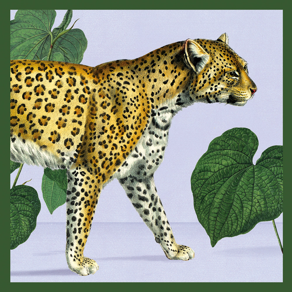 Natural History Museum Exotic Animals Box of 20 Notecards with Envelopes - Bee's Emporium