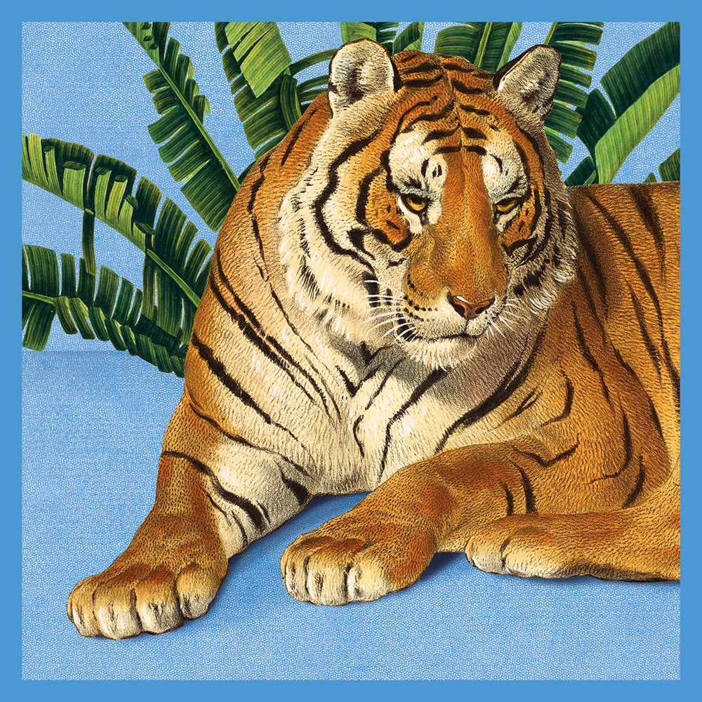 Natural History Museum Exotic Animals Box of 20 Notecards with Envelopes - Bee's Emporium