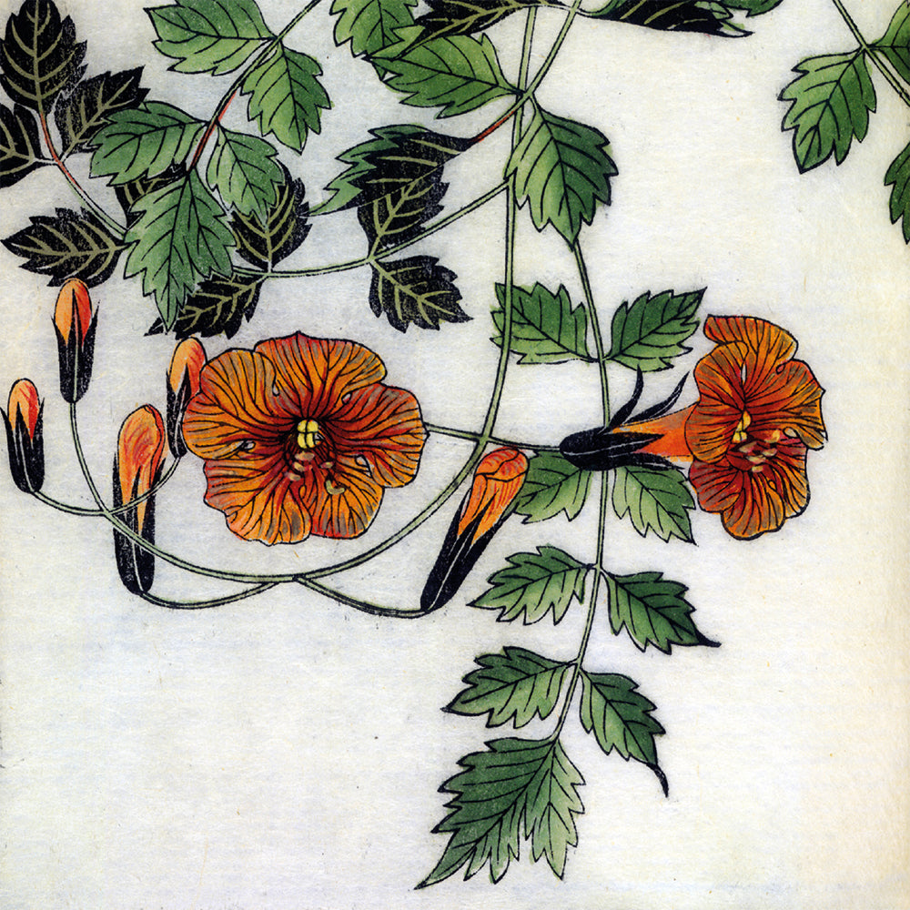 The British Library Botanical Prints Box of 20 Notecards with Envelopes - Bee's Emporium