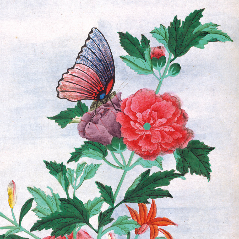 The British Library Botanical Prints Box of 20 Notecards with Envelopes - Bee's Emporium