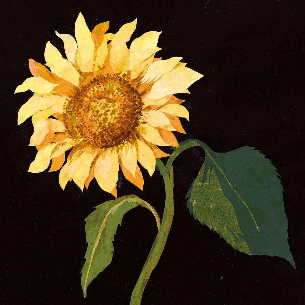 The British Museum Flowers by Mary Delany Box of 20 Notecards with Envelopes - Bee's Emporium
