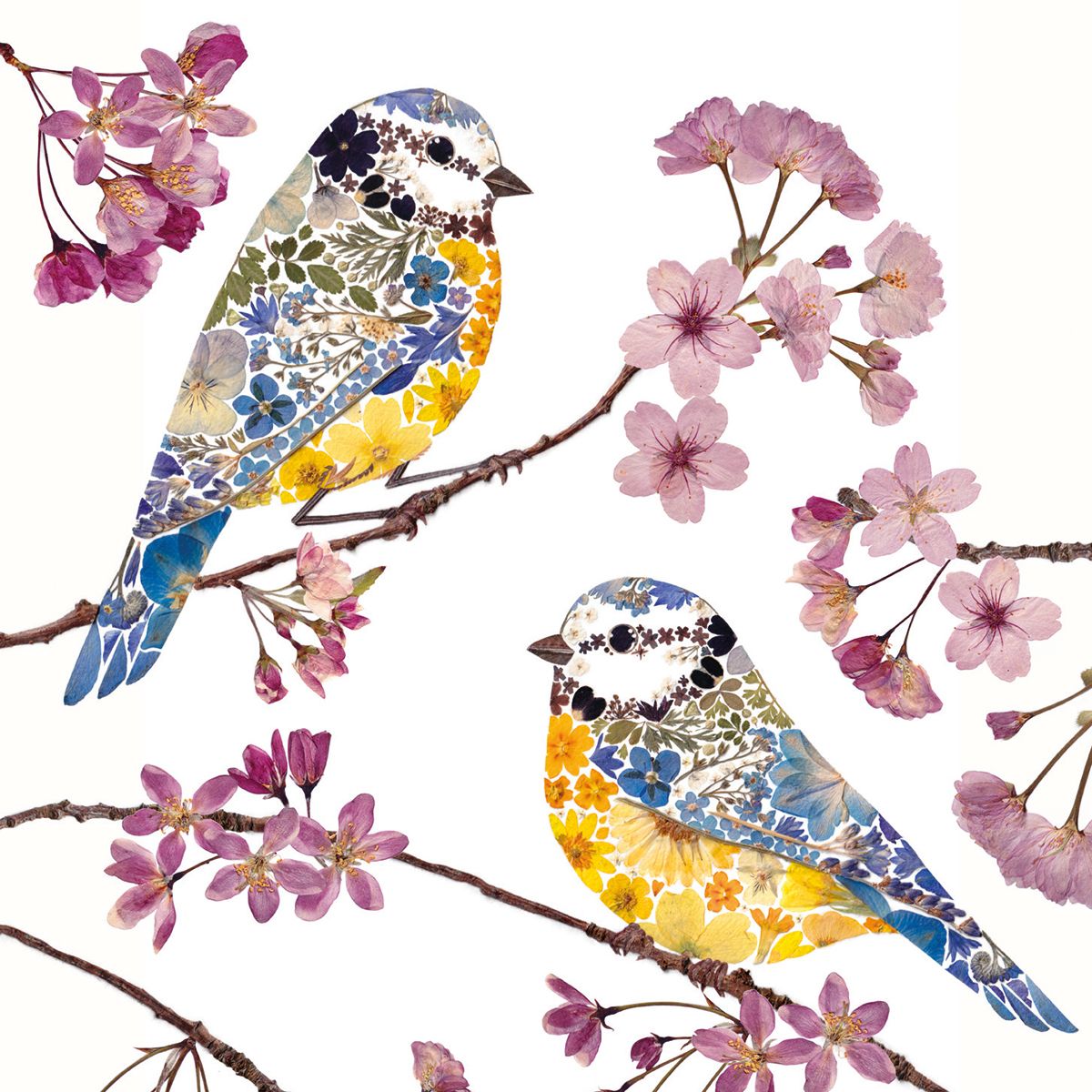 Wild Press by Helen Ahpornsiri Cottage Garden Box of 20 Notecards with Envelopes - Bee's Emporium