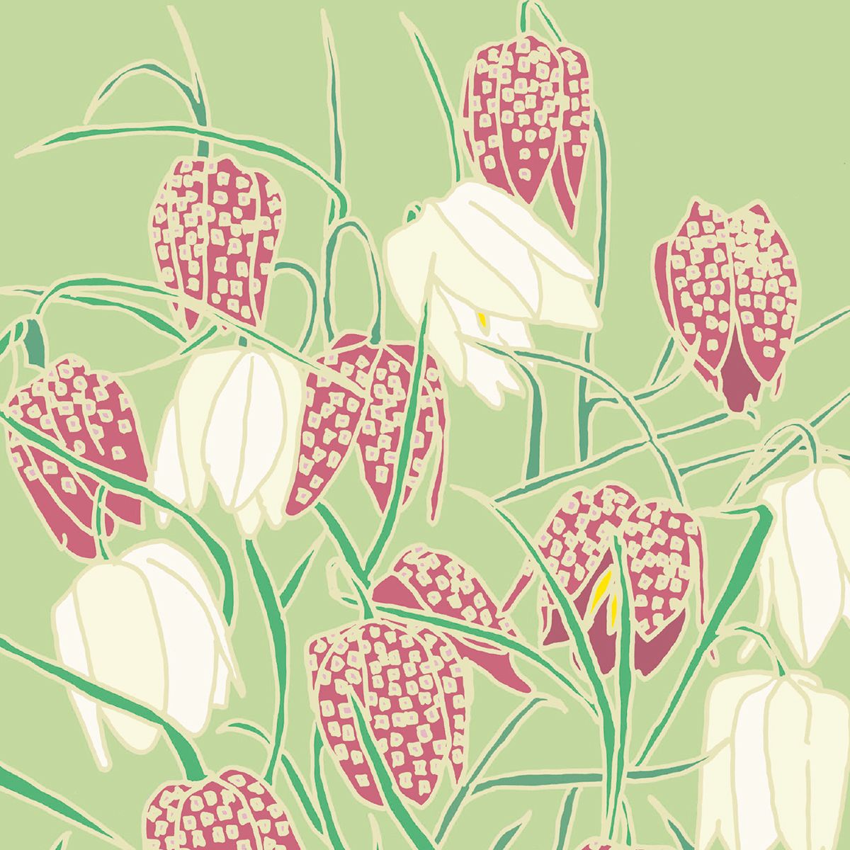 Emily Burningham Flowers in Bloom Box of 20 Notecards with Envelopes - Bee's Emporium