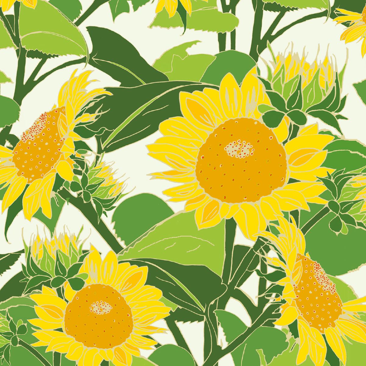 Emily Burningham Flowers in Bloom Box of 20 Notecards with Envelopes - Bee's Emporium