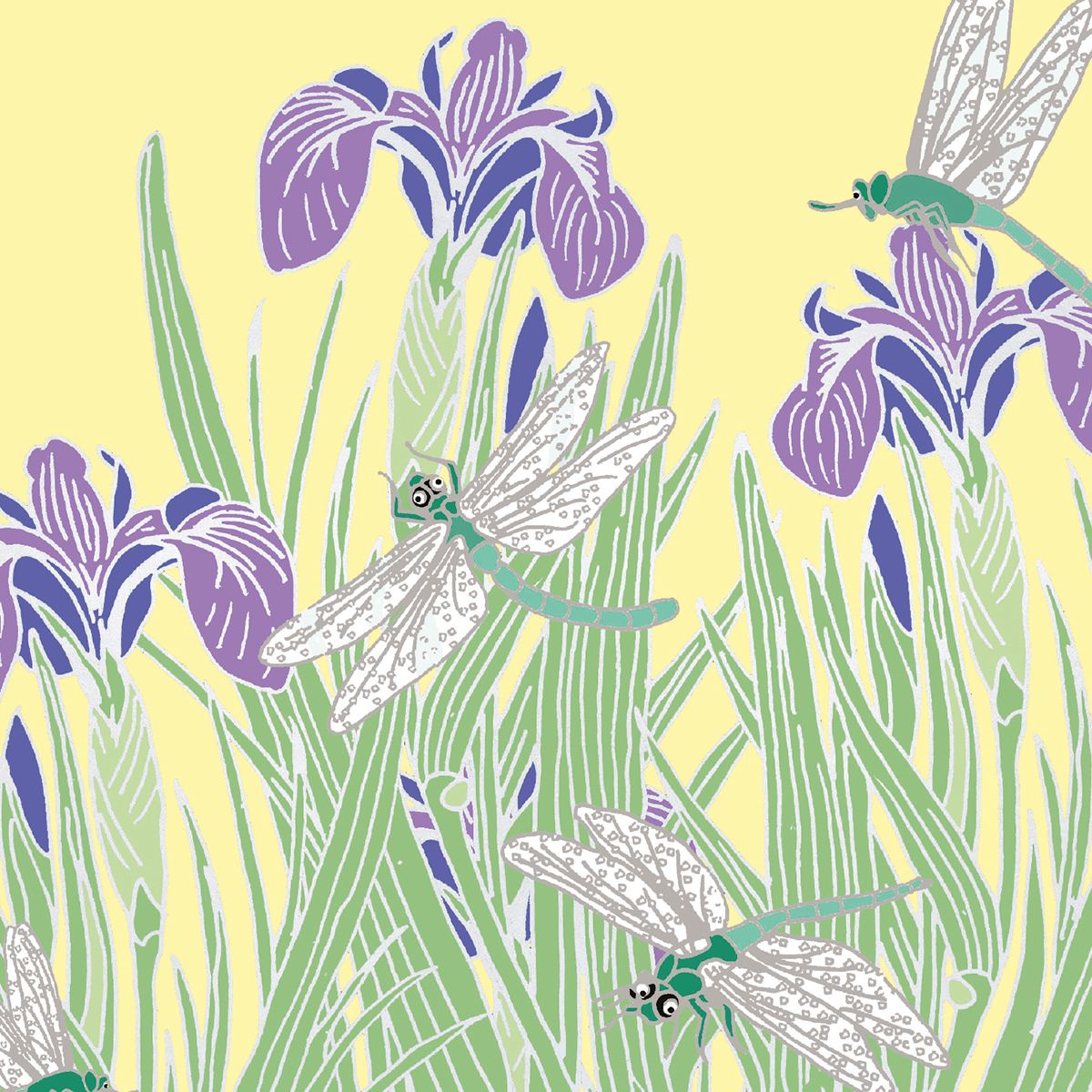 Emily Burningham Flowers in Bloom Box of 20 Notecards with Envelopes - Bee's Emporium