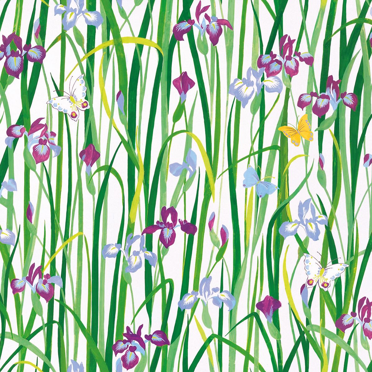 Sarah Campbell Flower Power Box of 20 Notecards with Envelopes - Bee's Emporium
