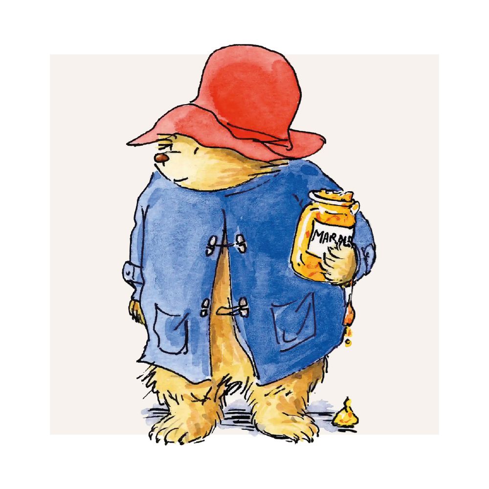 Paddington Bear Box of 16 Notecards with Envelopes - Bee's Emporium