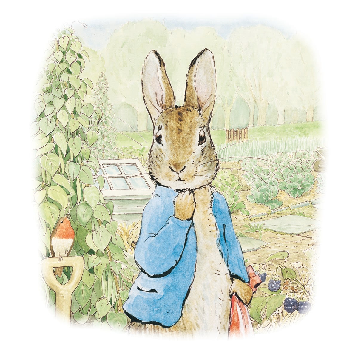 Peter Rabbit & Friends by Beatrix Potter Box of 16 Notecards with Envelopes