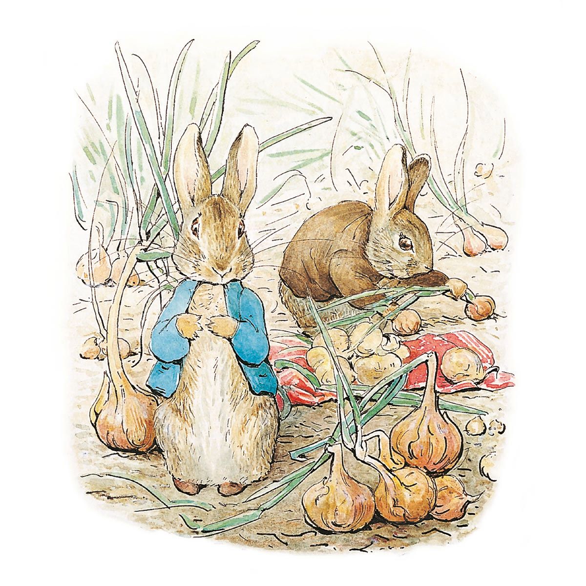 Peter Rabbit & Friends by Beatrix Potter Box of 16 Notecards with Envelopes
