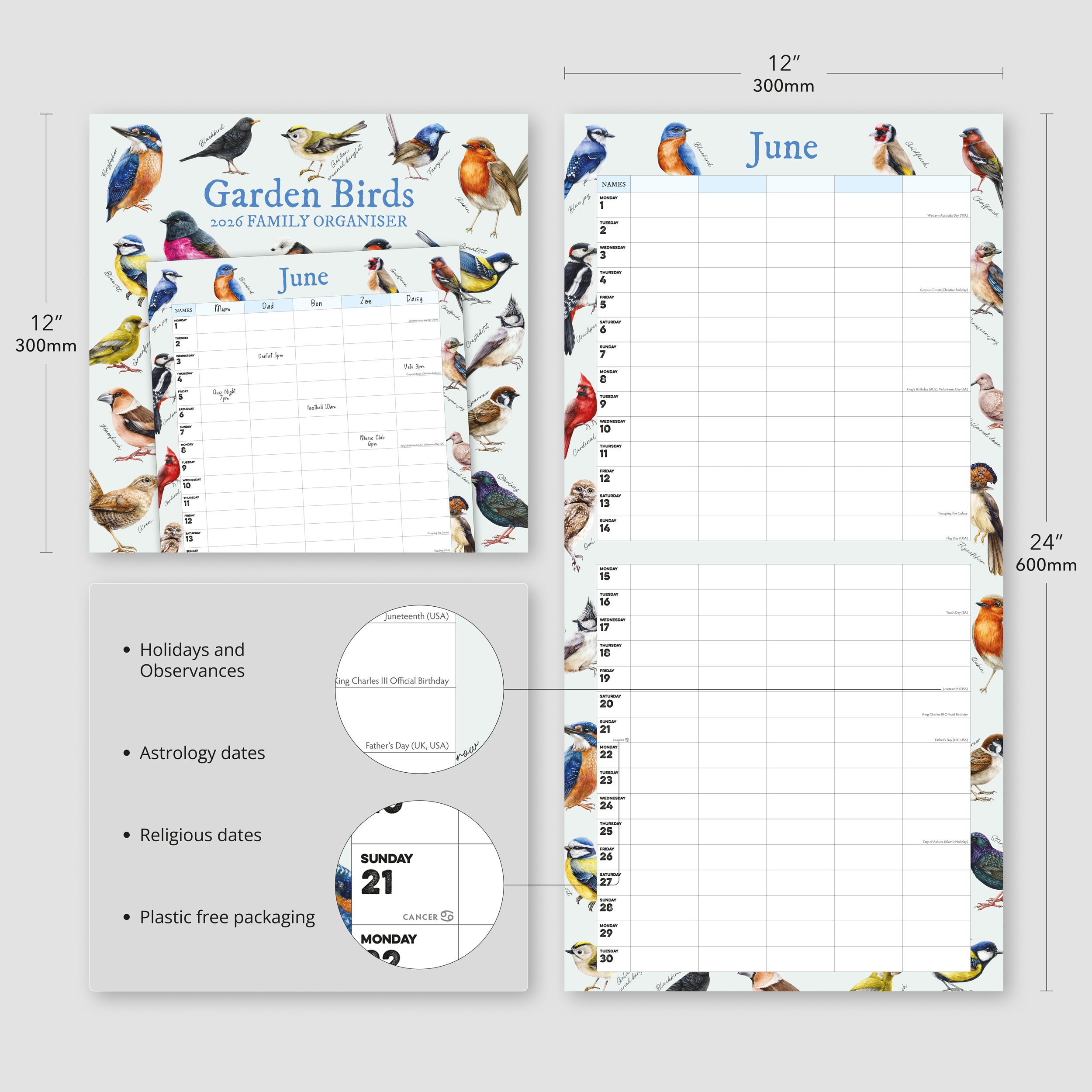 Garden Birds Illustrated Family Organiser - 2026 Square Wall Calendar - Bee's Emporium