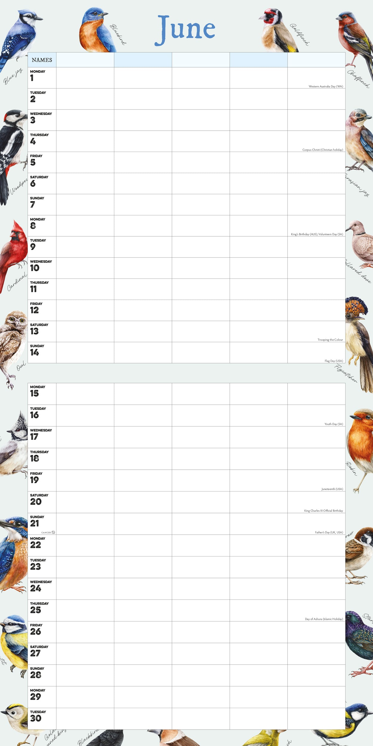 Garden Birds Illustrated Family Organiser - 2026 Square Wall Calendar - Bee's Emporium