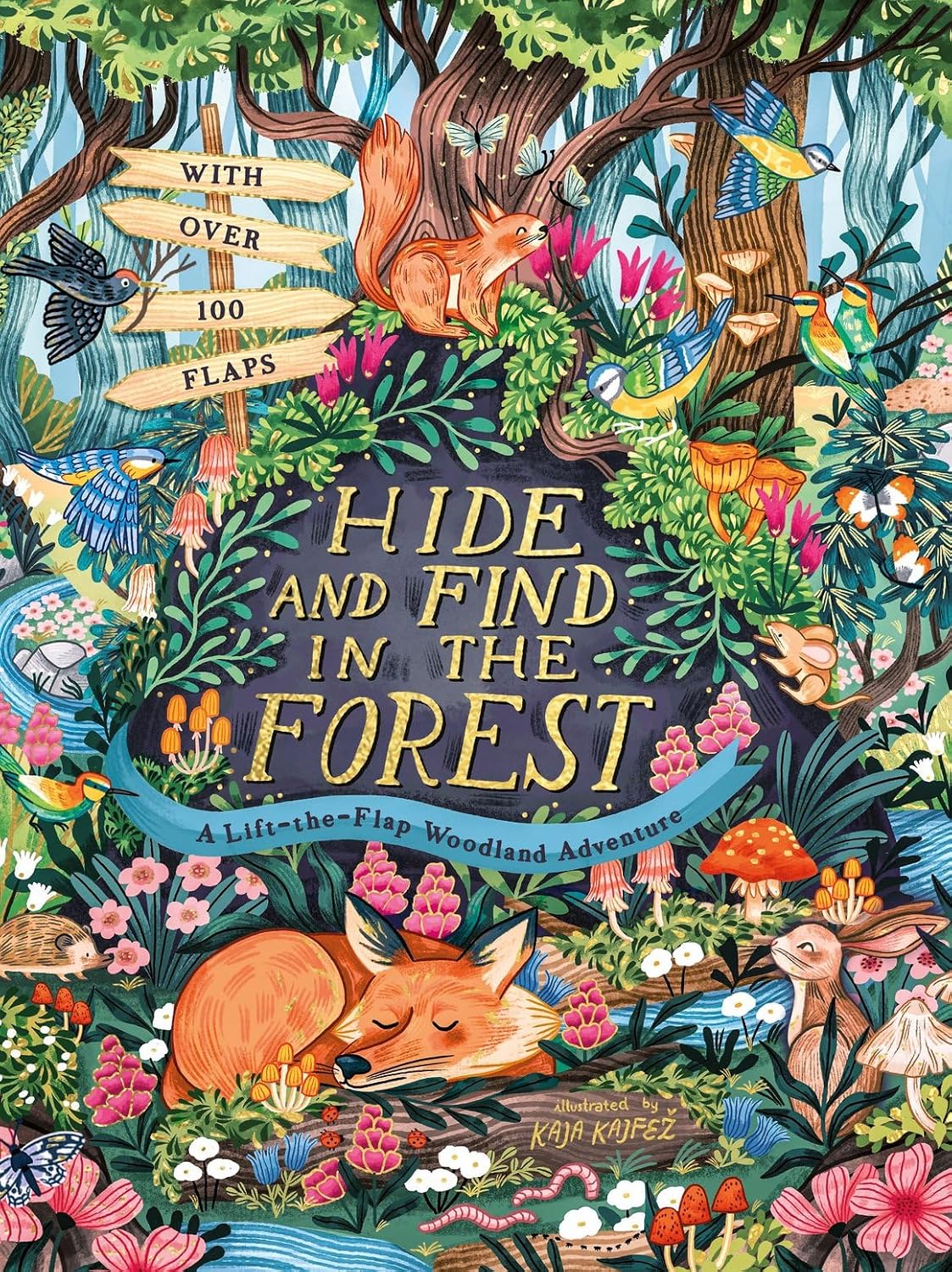 Hide and Find in the Forest: A Lift-the-Flap Woodland Adventure (Hardcover)