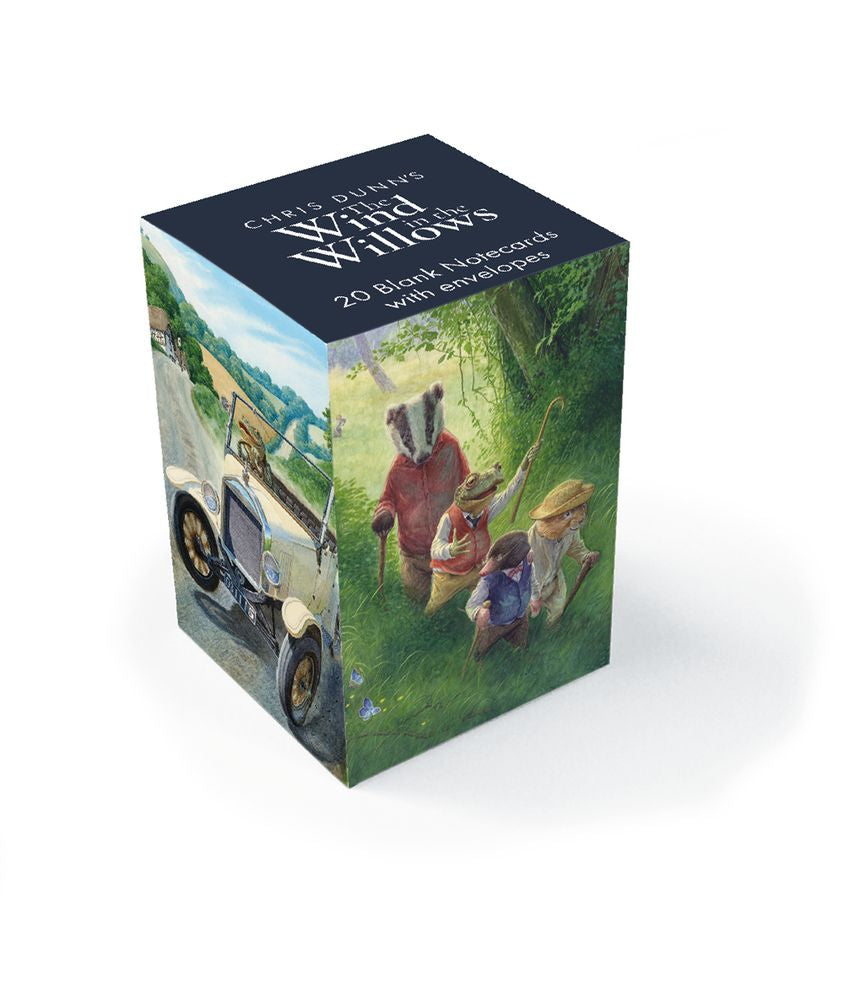 Wind in the Willows by Chris Dunn 20 Mini Notecards Cube - Bee's Emporium