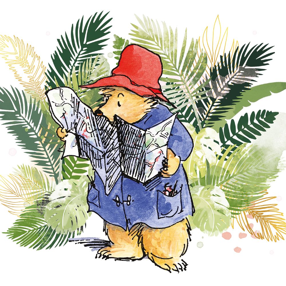 Paddington Bear in Peru Blank Greeting Card with Envelope - Bee's Emporium