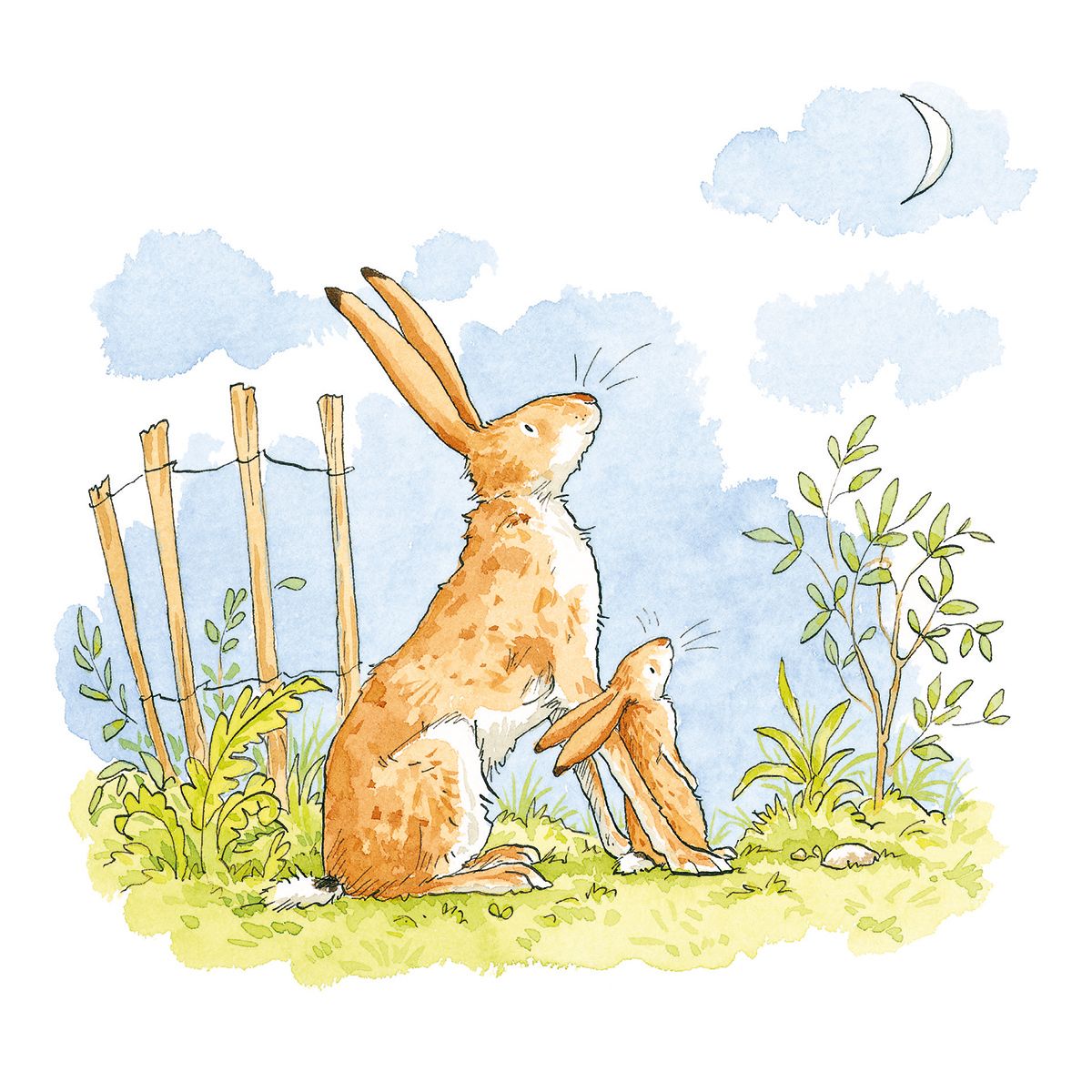 Guess How Much I Love You - Admiring The Moon Blank Greeting Card with Envelope - Bee's Emporium