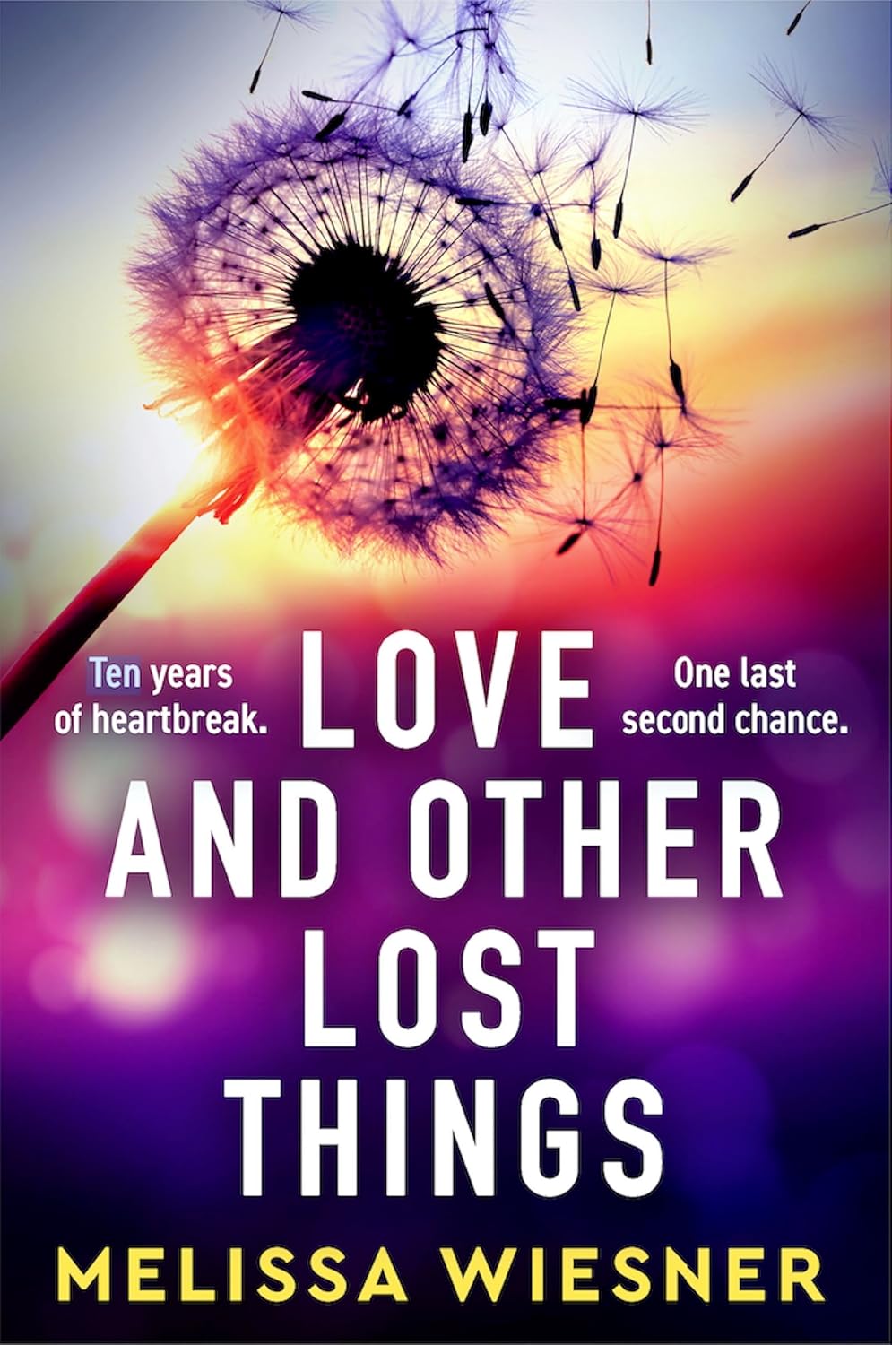 Love and Other Lost Things by Melissa Wiesner (Paperback)