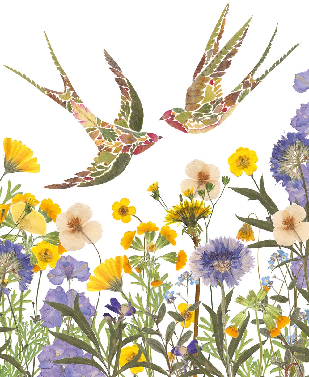 Wild Press - Meadow Swallows Blank Greeting Card with Envelope - Bee's Emporium