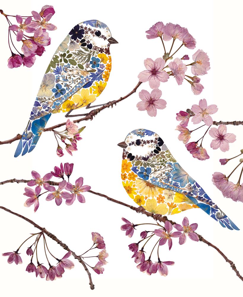 Wild Press - Blue Tits and Blossom Blank Greeting Card with Envelope - Bee's Emporium