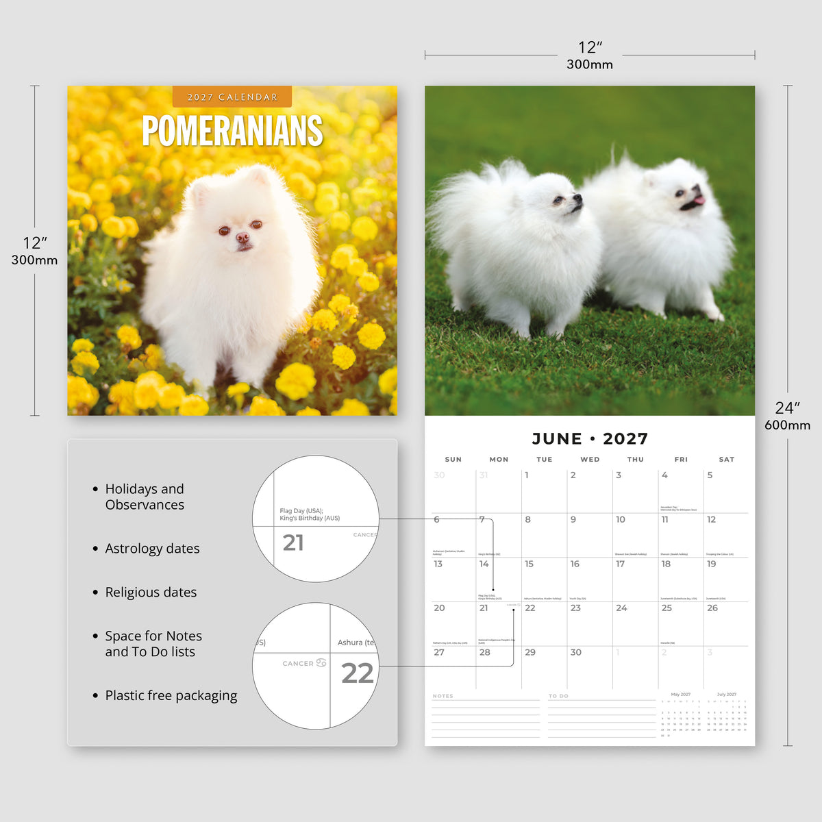 Pomeranians 2027 Square Wall Calendar
