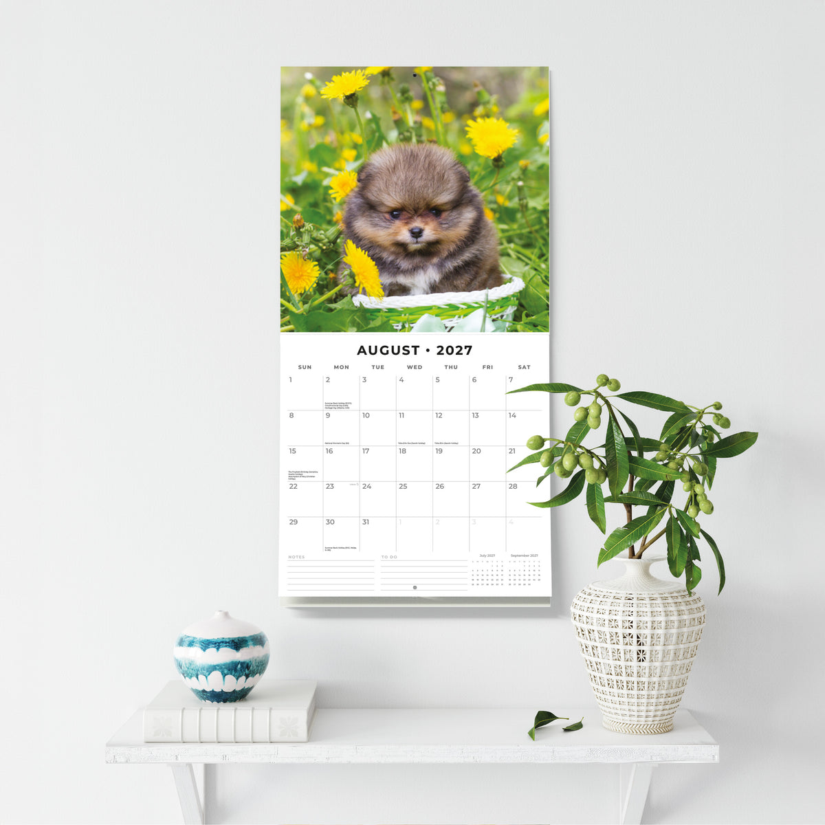 Pomeranians 2027 Square Wall Calendar